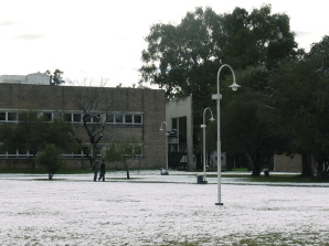 Nieve en el Campus VII_opt